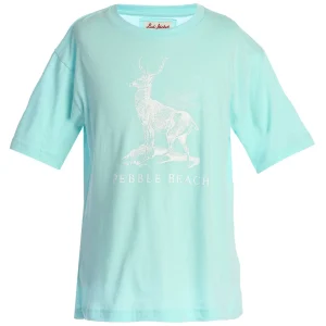 Youth Apparel<Pebble Beach Resorts Pebble Beach Youth Forest Stag Tee By American Needle