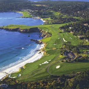 Pebble Beach Art Collection<Pebble Beach Resorts Soaring By Joann Dost -Metal Print