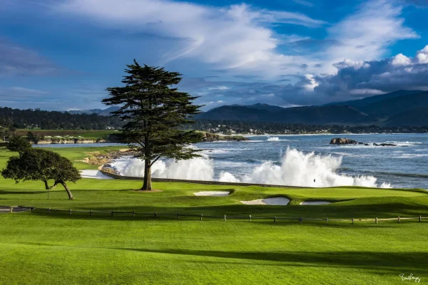 Pebble Beach Art Collection<Pebble Beach Resorts Sunday Afternoon By Bart Keagy - Metal Print